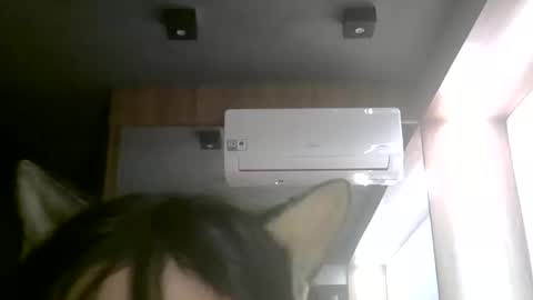skinnykittencam online show from June 11, 2:53 am