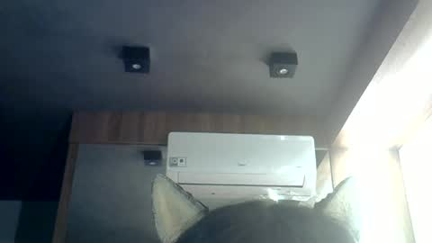 skinnykittencam online show from June 13, 3:06 am