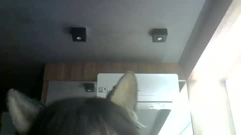 skinnykittencam online show from June 16, 4:37 am