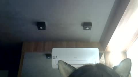 skinnykittencam online show from June 19, 12:04 am