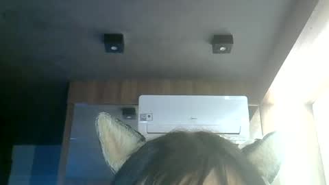 skinnykittencam online show from June 20, 1:58 pm
