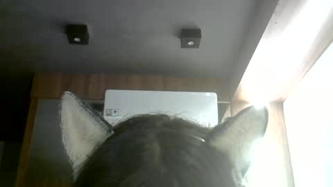 skinnykittencam online show from June 22, 3:25 am