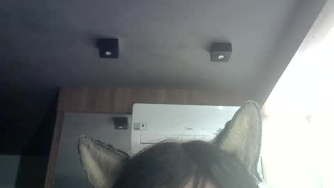 skinnykittencam online show from June 25, 5:12 am