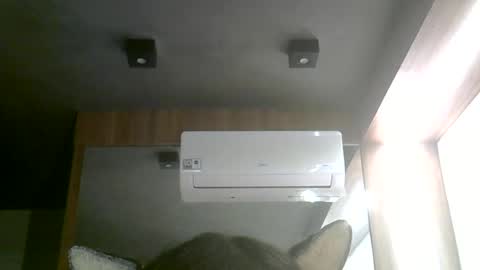 skinnykittencam online show from June 27, 7:02 am
