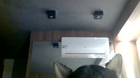 skinnykittencam online show from June 29, 10:48 am