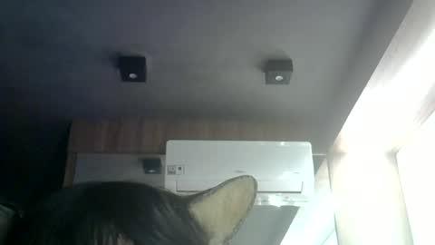 skinnykittencam online show from July 9, 9:46 am