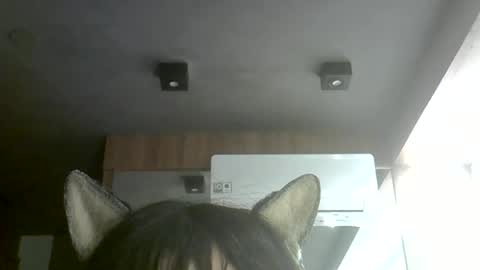 skinnykittencam online show from July 10, 10:30 am