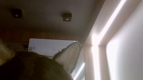 skinnykittencam online show from July 16, 5:52 pm