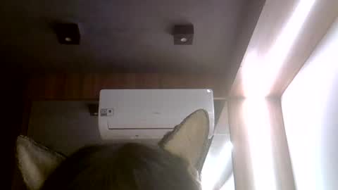 skinnykittencam online show from July 20, 11:45 am
