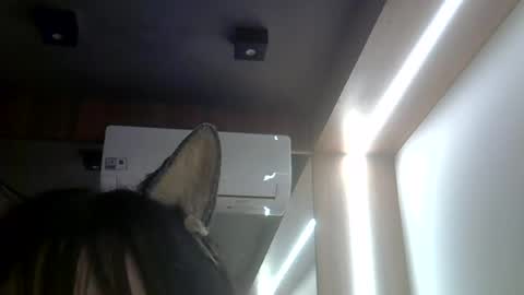 skinnykittencam online show from July 23, 2:09 am