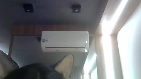 skinnykittencam online show from July 28, 11:48 pm