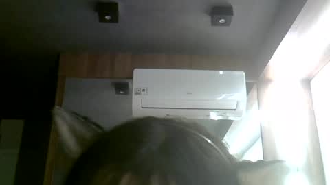 skinnykittencam online show from July 30, 2:21 am