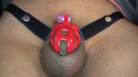 ShrimpDick online show from January 31, 5:32 pm