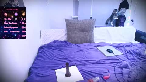 sparkyferret online show from December 3, 3:16 pm