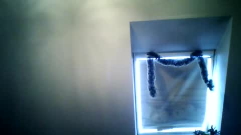 steffaniemoosbach online show from January 2, 1:30 pm