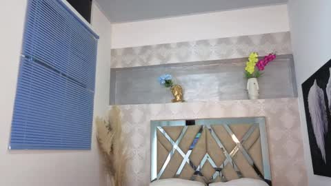 Steicy online show from April 8, 4:52 pm