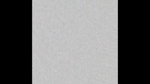  Little Taylor  online show from February 14, 2:50 am