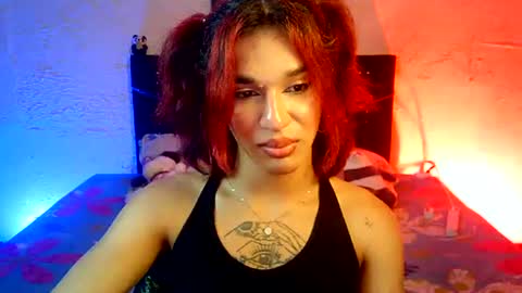 Terra obsession online show from July 21, 1:30 am