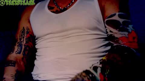 Milo online show from February 11, 2:30 am