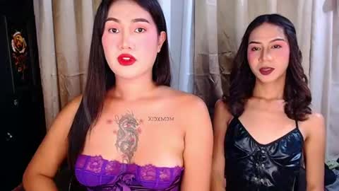 tiarrafoxs online show from July 29, 8:56 am