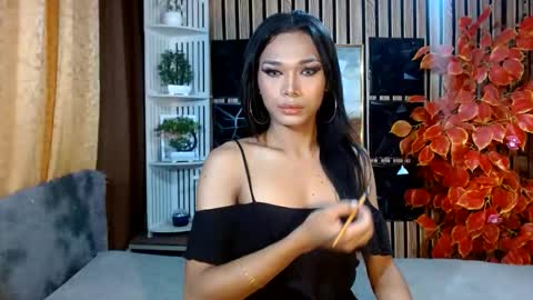 toptrans venice online show from February 24, 10:47 pm