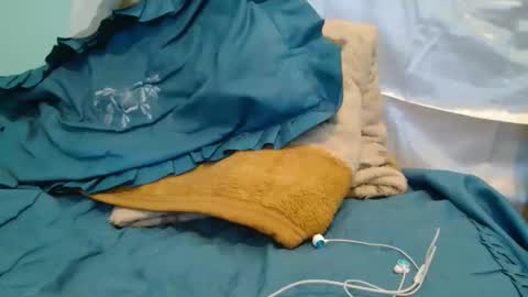 transexdotada online show from November 10, 2:51 pm