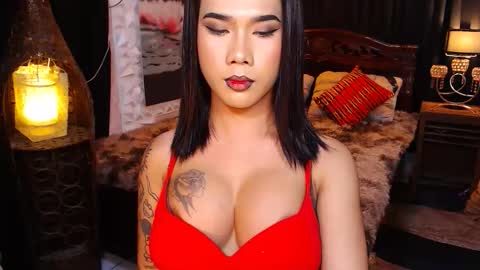 transpornidol online show from February 3, 5:51 pm