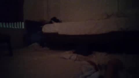 tsgoddessdani online show from May 13, 8:34 am