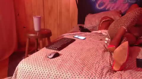 TsNitra online show from February 11, 12:17 am