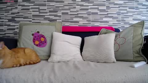 Violeta Gmez online show from July 7, 4:11 pm