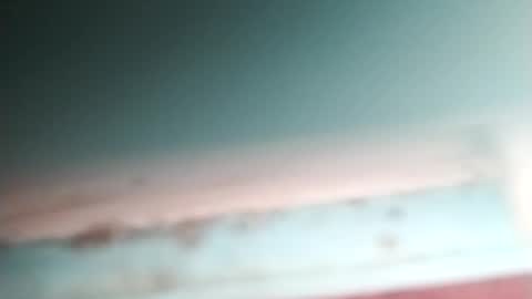 Bella Amor online show from April 15, 2:39 am