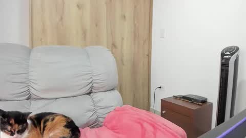 Hellen Sofia instagram hellen5546 online show from March 12, 2:22 pm