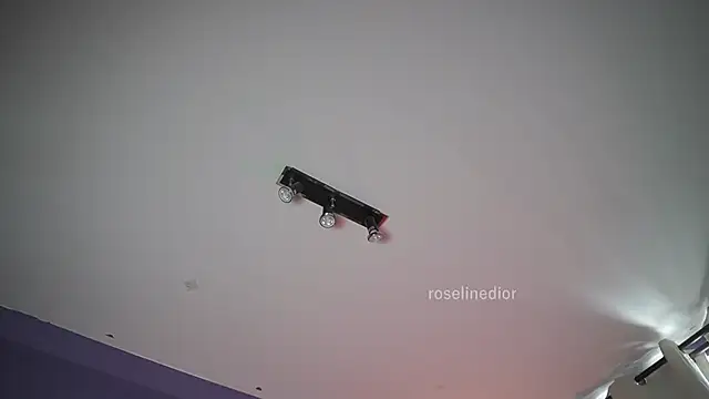 roselinedior online show from June 21, 7:06 pm