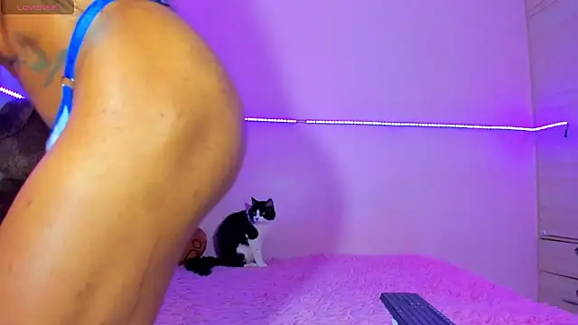 Canndy88htxx online show from March 18, 1:18 am