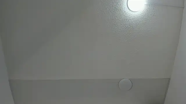 Lizz Luna online show from November 29, 8:00 pm