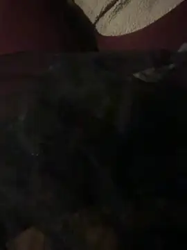 nenad062 online show from December 17, 7:03 am