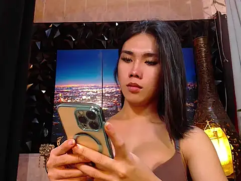 TRANSPORNIDOL online show from December 15, 8:14 pm