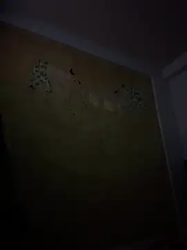AmbarFoxx  online show from July 31, 3:50 am