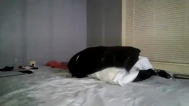 TsAssiddee online show from September 22, 3:23 am