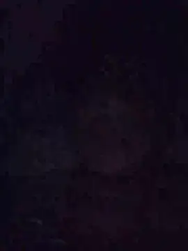 adiel3184xh online show from November 21, 6:25 am