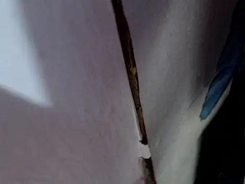 MissfrancesXxx online show from March 7, 11:38 am