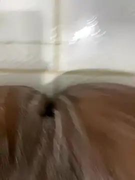 01dasmulher online show from January 13, 2:25 pm