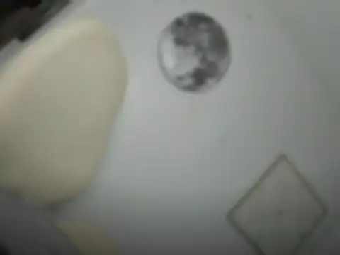 mxshemale ladyboy online show from March 26, 5:27 pm