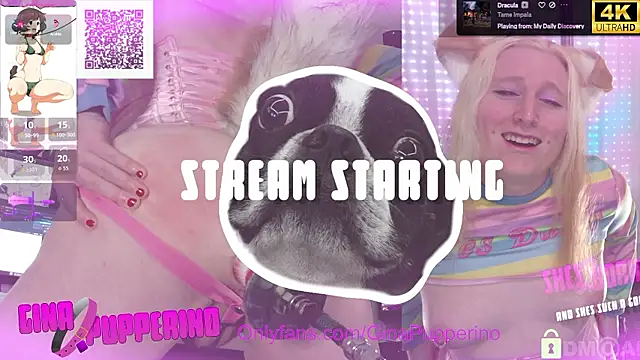 Shesborked online show from July 17, 1:28 pm