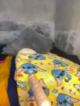 Iam AlexandraRey online show from February 11, 8:11 am