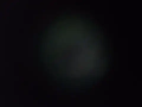 dustbunny64 online show from July 1, 1:39 am