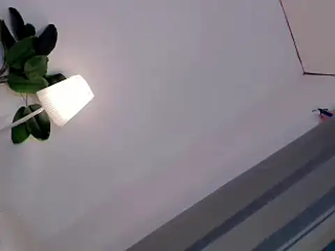 Tasty trap1 online show from July 20, 3:54 am