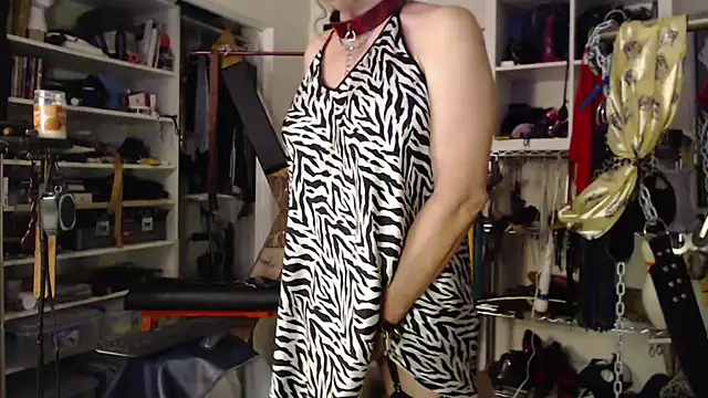 Transjoni online show from November 12, 10:36 am