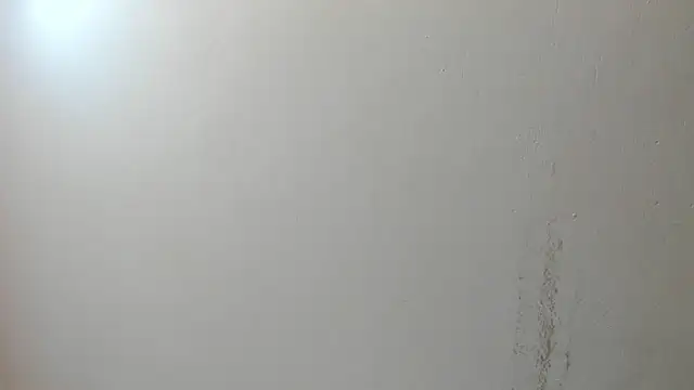 sarita loven online show from July 17, 5:02 am