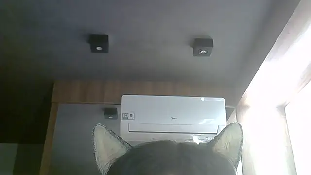 Skinny-Kitten online show from June 13, 3:06 am
